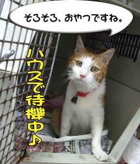 待ってますね♪