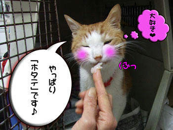 ヨカッタね、大好きなホタテだもんね♪