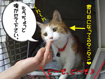 おメメが寄ってますよ～