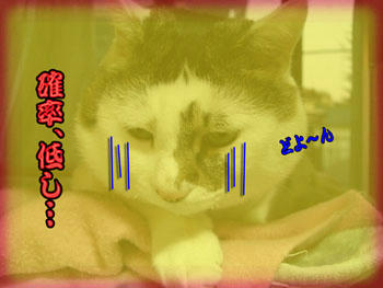 なんちゅーことをっ!!ヾ(▼ヘ▼;)オイコラ!