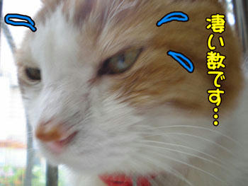 タンタンもビックリ！（笑）
