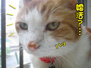 それはまだ新しい言葉ではっ?、ヽ`アセ(;~▼~;)アセ、ヽ`