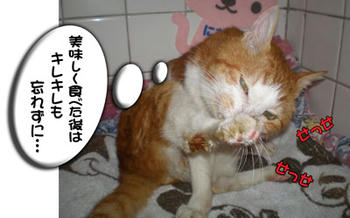 チョコを食べたら歯磨きだね（笑）