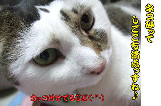 ヤケにカッコ付けてるじゃん。(=`(∞)´=) ブーブー!!