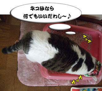 あら~、お気楽ね~