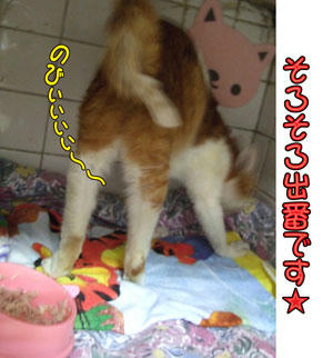 ストレッチは忘れずに…⌒v⌒v⌒v⌒