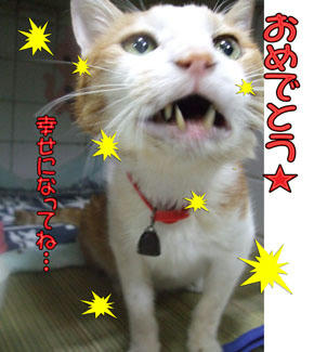 たまちゃん、その言葉はまだ早いよ(笑)