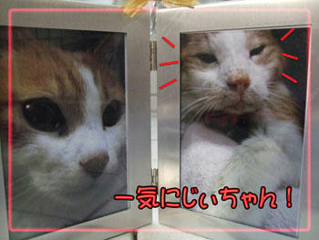 タンタンはじぃちゃん顔も様になってるわ~(笑)