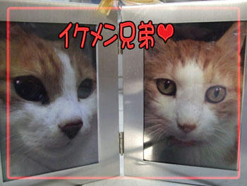 ひゅ～ひゅ～♪