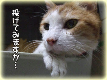 タンタン、やっちゃおうか~♪