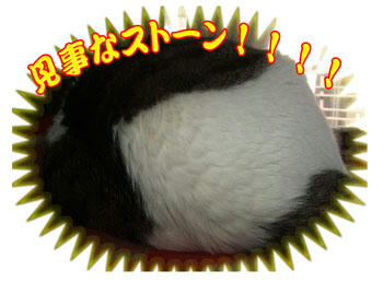 毛の生えてるストーンだわさ~♪