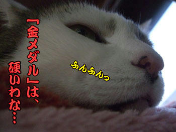 じどは投げられ役だよ。(T▽T)アハハ!