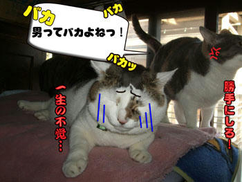 女心を分かってないわさ～ｗｗバカｯ!