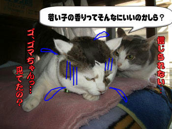 見られてたみたいね…