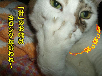 突然のオネエ言葉での出演に何か目論見はあるのか？