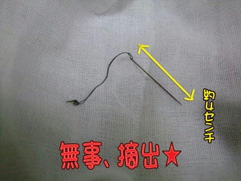 結構大きい”針”ですよ～　ｺﾜｯ