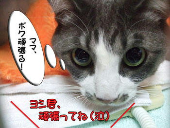 頑張るもんね♪