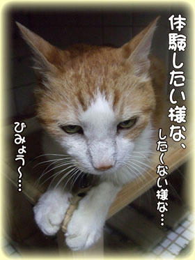 タンタンのお顔が正しく「微妙～」（笑）