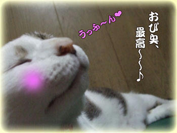 あ～、すっかりやられちゃったぁ～ヽ(｡_ﾟ)ノ ヾ(”*)ｼｯｶﾘｼﾛｫｰ