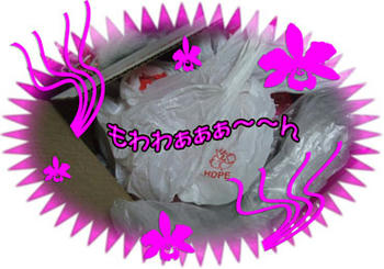 ｻﾝｯ ﾊｲｯ!(ﾉ^▽^)ﾉ￣強烈～～