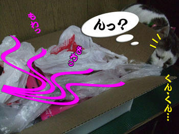 急に立ち止まった！