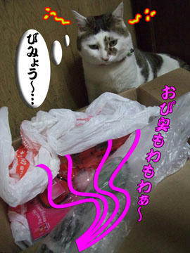 考え中～ｗｗ