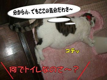 ｺﾗｧ( ≧∇≦)ﾉ｡°゜°。｡ﾍ(｡≧O≦)ﾉ