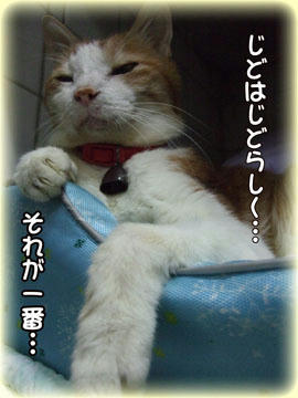 タンタンは大人やのぅ~