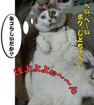 ヽ((◎д◎ ))ゝヒョエ~