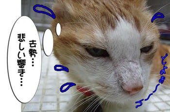 ﾜﾜｯ!、タンタンもそんな顔～？
