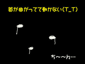∑(￣Д￣)ｶﾞｰﾝ(＝Д＝;)ﾏｼﾞｰ(＝_＝;)ｼｭﾝ