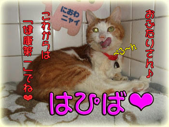 それが一番だよね♪