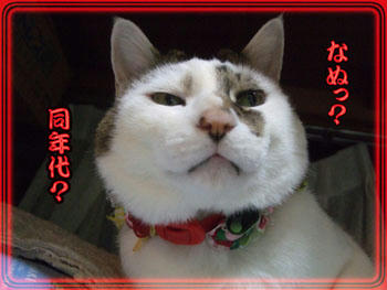 何かご不満？