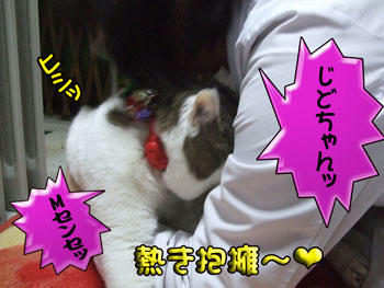 ぉお!!(ﾟﾛﾟ屮)屮　運命を感じたのねｯ!