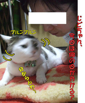 今日は何の日～fuffu~♪