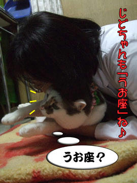 やっぱり「うお座」よね♪