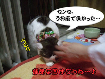 じど、良かったね♪