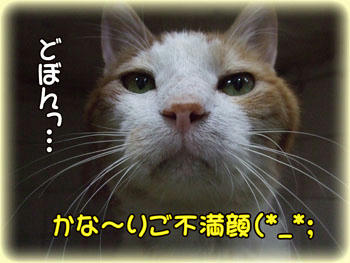 残念だったね～（笑）