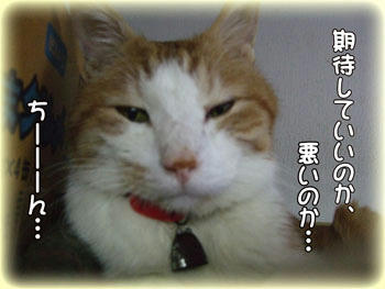タンタン、渋いお顔はしないでね~ (>▽<;; アセアセ
