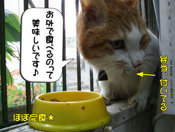 デリバリーの甲斐があったよ♪
