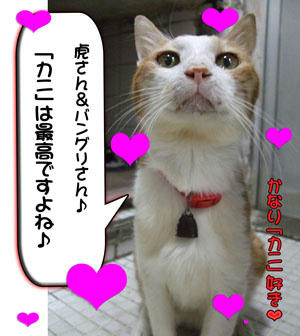 タンタンは「1にホタテ、2にカニちゃん」だったもんね♪