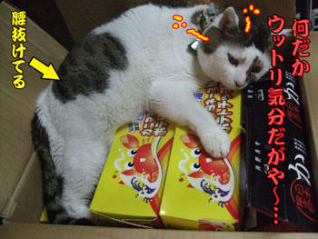 わわわーーっ、腰抜けちゃった～