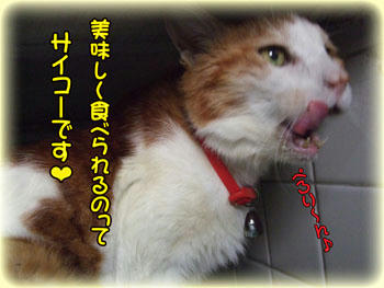 皆と一緒だとなお、美味しいよね♪