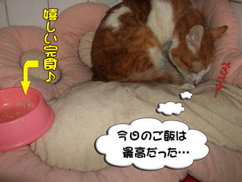 美味しく食べられて良かったね♪