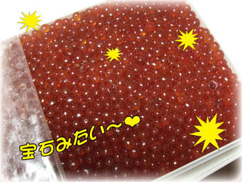 ｳｯﾄﾘ♪･:*:･ （￣* ）美しすぎるぅ～～