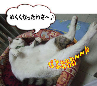 もちろん、パネルヒーターはオン♪
