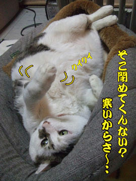 …そうよね、外気は寒いわね…Σ(￣ε￣;|||･･･