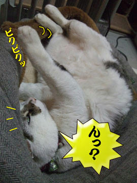 おっ！気付いたか？