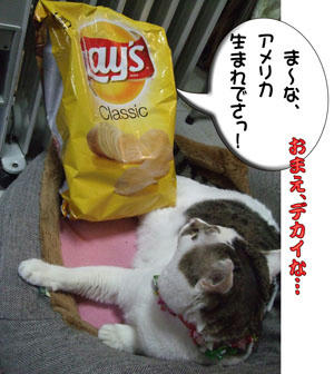 やっぱアメリカンはジャンボだね～