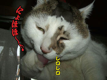 その邪悪な笑いは止めなさい！
